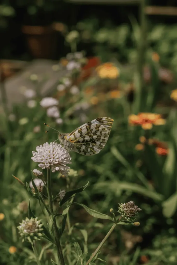 wildlife friendly garden with flowers and native plants, butterfly resting on a bloom, gentle natural movement, soft sunlight, organic garden design, peaceful and alive atmosphere, editorial nature photography, no people, no text, no logos
