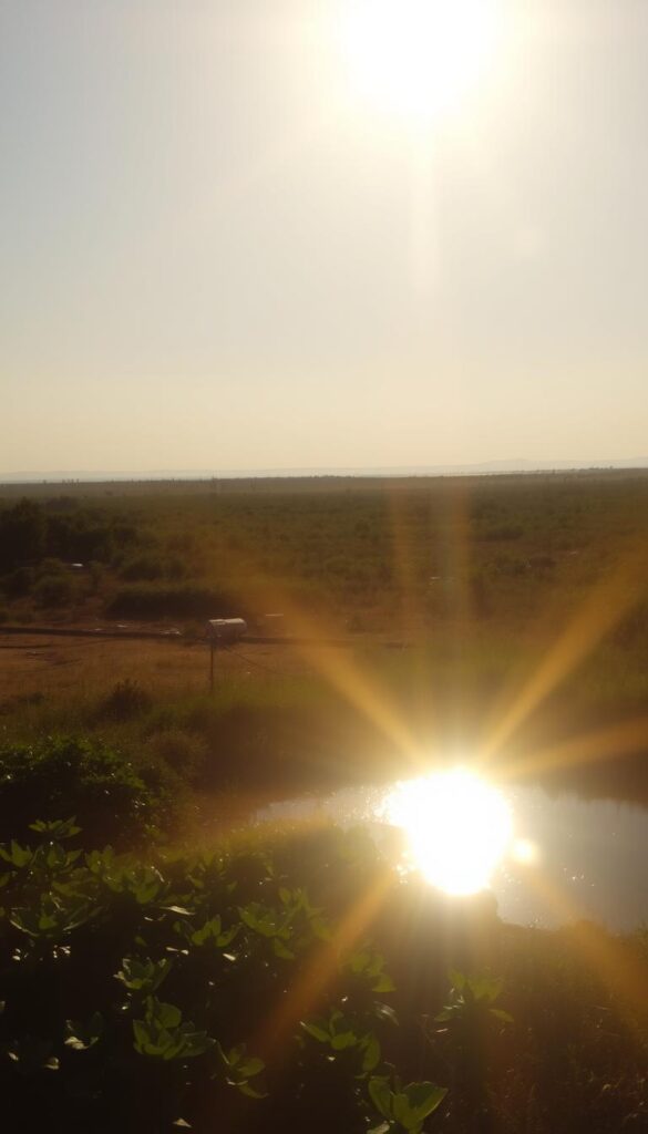 A brilliant, radiant sun fills the sky, its golden rays illuminating the landscape below. The sun's intense light casts long shadows and creates a sense of warmth and energy. In the foreground, the sun's glare reflects off a shallow pool of water, creating a shimmering, almost blinding effect. The middle ground features lush, verdant foliage that seems to bask in the sun's abundant rays. In the background, a hazy, cloudless horizon suggests a hot, humid day, perfect for heat-loving plants to thrive. The overall scene conveys the essence of a high-noon, full-sun environment, capturing the intensity and vitality of a summer day. A brilliant, radiant sun fills the sky, its golden rays illuminating the landscape below. The sun's intense light casts long shadows and creates a sense of warmth and energy. In the foreground, the sun's glare reflects off a shallow pool of water, creating a shimmering, almost blinding effect. The middle ground features lush, verdant foliage that seems to bask in the sun's abundant rays. In the background, a hazy, cloudless horizon suggests a hot, humid day, perfect for heat-loving plants to thrive. The overall scene conveys the essence of a high-noon, full-sun environment, capturing the intensity and vitality of a summer day.