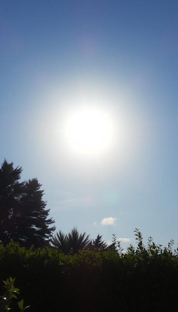 A serene, golden sun shining brightly in a clear blue sky, casting a warm, peaceful glow over a tranquil outdoor setting. Soft, wispy clouds frame the sun, creating a sense of calm and tranquility. The sun's rays gently illuminate a lush, verdant landscape, hinting at the natural beauty and serenity of the outdoor space below. The lighting is soft, diffused, and natural, creating a soothing, inviting atmosphere. A sense of harmony and balance permeates the scene, reflecting the simplicity and tranquility of a well-designed outdoor oasis. A serene, golden sun shining brightly in a clear blue sky, casting a warm, peaceful glow over a tranquil outdoor setting. Soft, wispy clouds frame the sun, creating a sense of calm and tranquility. The sun's rays gently illuminate a lush, verdant landscape, hinting at the natural beauty and serenity of the outdoor space below. The lighting is soft, diffused, and natural, creating a soothing, inviting atmosphere. A sense of harmony and balance permeates the scene, reflecting the simplicity and tranquility of a well-designed outdoor oasis.