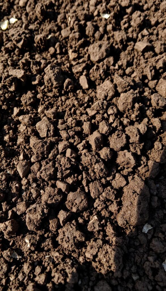 Detailed close-up of rich, fertile soil in early spring, highlighting its dark, crumbly texture and moist, nutrient-dense composition. The soil is evenly lit from above, casting soft shadows that emphasize its depth and structure. The frame is tightly focused, filling the image with the earthy, organic details of the ground, conveying a sense of vitality and anticipation for the growing season ahead. A sense of warmth, clarity, and freshness permeates the scene, inviting the viewer to imagine the vibrant blooms soon to emerge from this welcoming, well-prepared earth.